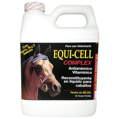 Equi-Cell Complex
