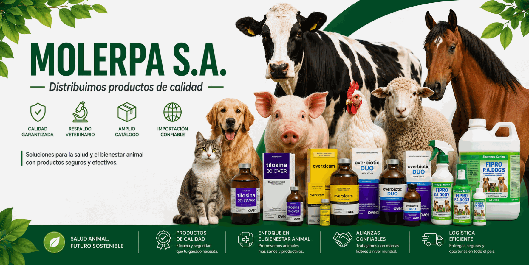 https://molerpa.com/wp-content/uploads/2026/08/MOLERPA_banner_optimizado-1774x890.png